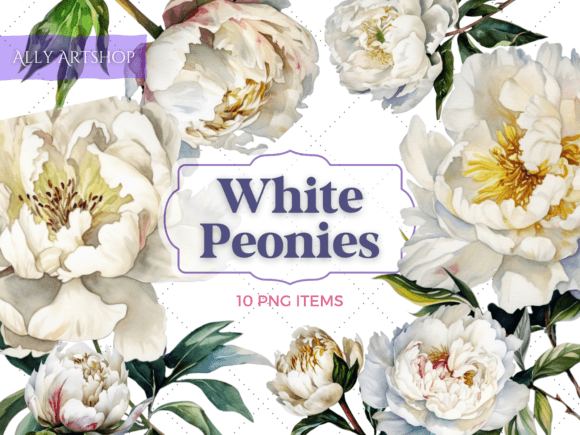 Download White Peonies Vintage Watercolor Clipart - Clipart Collection