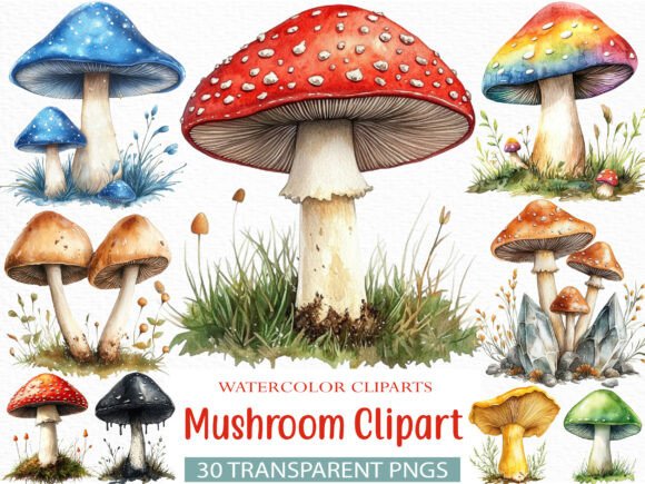 Download Watercolor Mushroom Clipart Bundle - Clipart Collection