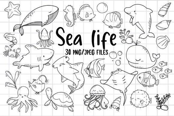 Download Sea Life Clipart, Ocean Animal PNG - Clipart Collection