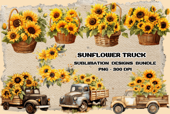 Download Sunflower Vintage Watercolor Clipart - Clipart Collection
