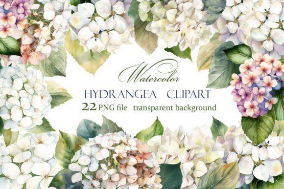 Download Hydrangea Clipart, White Watercolor - Clipart Collection