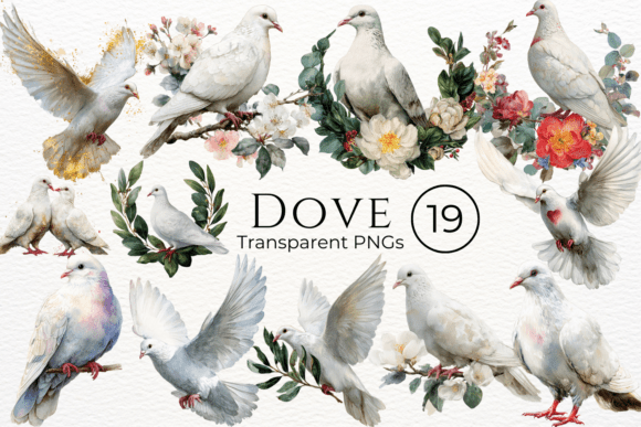 Download Dove Watercolor Clipart - Clipart Collection