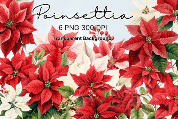 Download Poinsettia Christmas Flowers Clipart - Clipart Collection