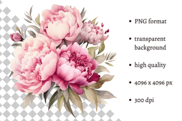 Download Watercolor Delicate Peonies Clipart - Clipart Collection